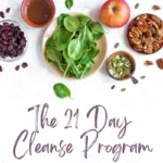 ingredients for 21 day cleanse program